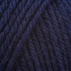 Deluxe Worsted Superwash Yarn - Twilight 740