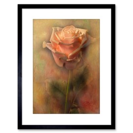 Wee Blue Coo PHOTO DUSTY PINK ROSE VINTAGE GRUNGE FLOWER FRAMED PRINT F97X3249