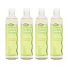 Clarifying Shampoo Sulfate-Free Detox for Natural Hair 12oz 4-Pack
