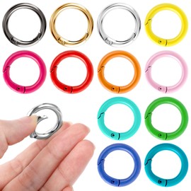 Pack of 12 Mini Carabiner Hooks Round Carabiner Key Ring 2.4 cm Key Ring Metal Ring Mini Carabiner Key Rings Small Clip Rings Hooks for School Home or Office (12 Colours)