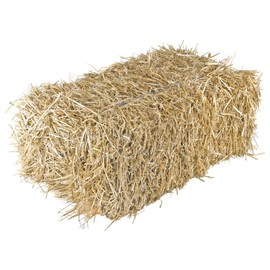 Garden Elements Straw Bale by Shady Creek Farm, Multi-Use for Farm & Home, Medium Straw Bale, 22"