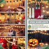 Rossesay 24 Pcs S14 Bulbs for Outdoor String Lights 1.5