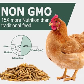 5LB Non GMO Dried Black Soldier Fly Larvae for Chickens Bulk Treats More Calcium Than Dried Mealworms - BSF Larvae for Laying Hens, Chicken Worms, Poultry Grubs for Chickens Feed, Wild Bird Food