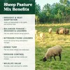 Nature's Seed Northern Sheep Forage Mix, Cattle Pasture Grass Seed