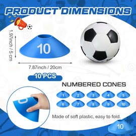 Relaxgiant 10 Pcs Numbered Sports Disc Cones 1-10 Soccer Cones with Mesh Carry Bag Flexible Agility Cones Soft Field Cones for Gym PE Classes School Activities Games, Sports Training Equipment (Blue)