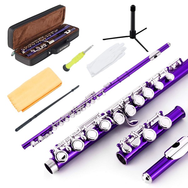 EASTROCK Closed Hole Flutes C 16 Key for Beginner, Kids,