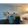 RabyLeo Unbreakable Reusable Drinking Cups Set of 2 Colors, Plastic