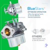 BlueStars 640052 Carburetor Combo - Replace 640054 640349 640058 640058A
