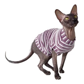 Kotomoda Cat's T-shirt Corduroy Mauve stripes for Sphynx and naked cats (X-Small)