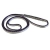 Dmm 8mm x 60cm Dynatec Sling (Gold)