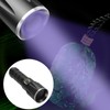 UV Flashlight Black Light Flashligh 4 Core 15W for Pet