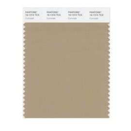 PANTONE Smart 16-1315X Color Swatch Card, Cornstalk