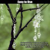 Pack of 150 Mini Hooks for Hanging, Stable and Durable