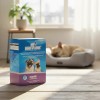 Holland Gi Restore Probioticos, Con Glutamina Perro 120gr