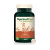 Spirited Paw Calm - Stress Support Chews - Calming Supplement