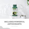 VORST Black Cherry Extract 600mg (300mg Per Capsule) 60 Capsules