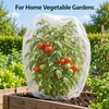 Plant Protection Netting for Fruit Trees & Garden Plants –