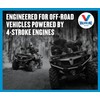 Valvoline 4-Stroke ATV/UTV SAE 10W-40 Motor Oil 1 QT, Case