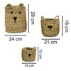 Carousel Home Set of 3 Seagrass Teddy Bear Storage Baskets