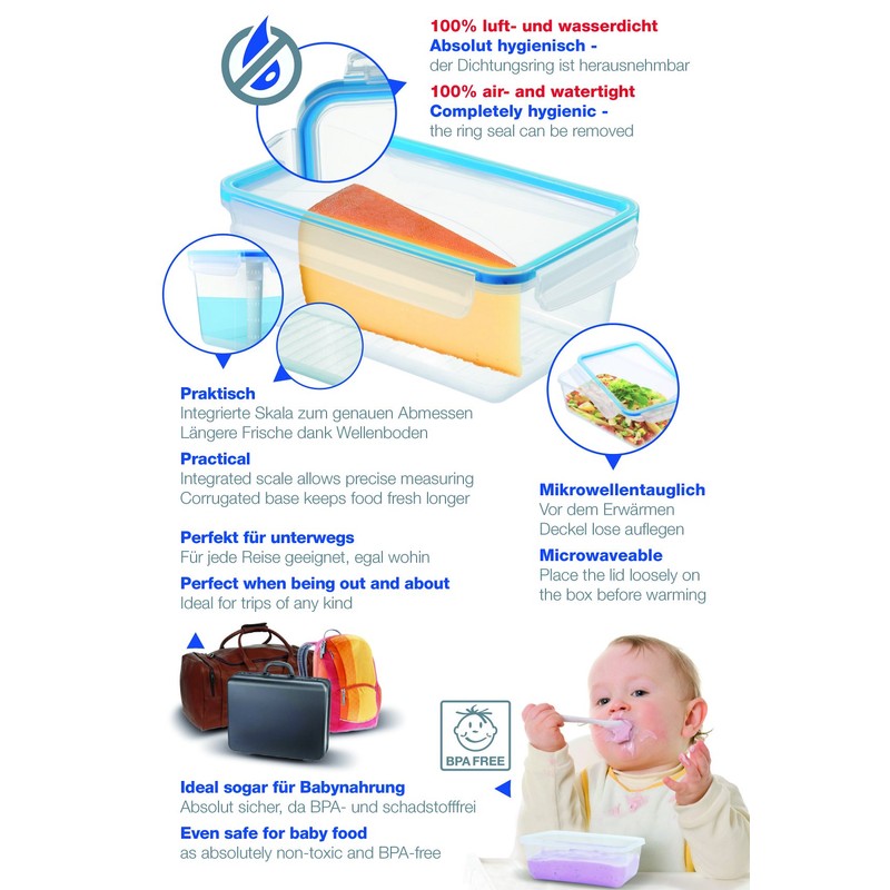 Rotho Fridge Box Click & Lock-Plastics (PP), 0.8 L, Blue