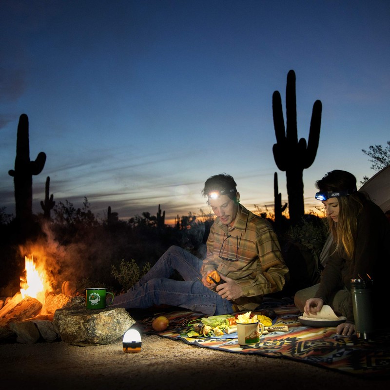 PETZL, NOCTILIGHT Lantern Case, Transform Your Headlamp for Camping &