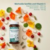 The Nutri Store - Nasturtium Horseradish Capsules - 180 Capsules