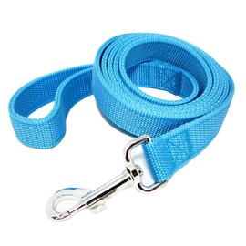 Strong Nylon Dog Leash with 2-Layer, 4 FT/ 6 Feet Long, 1 Inch Wide for Medium Large Dogs (1'' x 5 FT, Sky Blue)