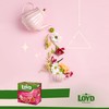 LOYD Tea - Raspberry and Strawberry (6 Pack​)