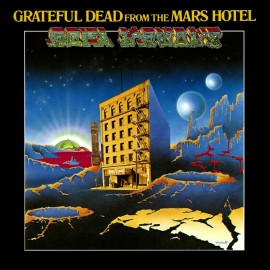Unbranded GRATEFUL DEAD From the Mars Hotel BANNER HUGE 8x8 Ft Fabric Poster Tapestry Art