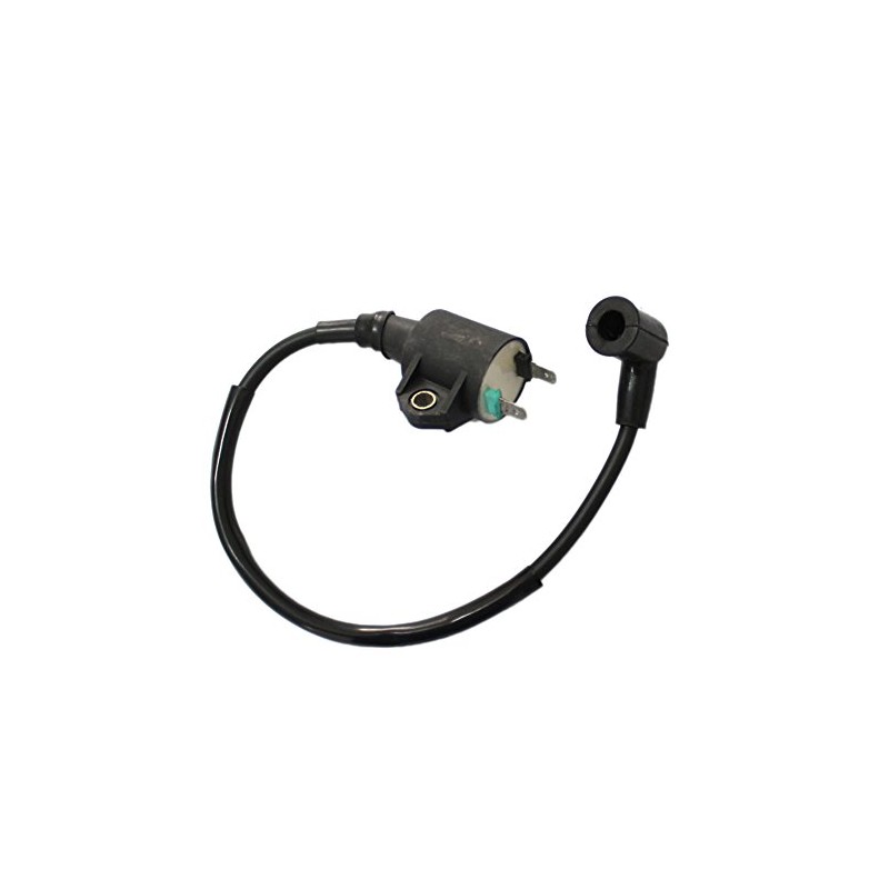 Poweka New Ignition Coil Compatible with Harbor Freight Chicago Electric