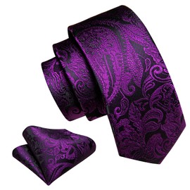 Barry.Wang Casual Boy's Neckties Flower Silk Kids Self-Tie Pocket Square Set Graduation School Weding Parties Festival Royal Purple