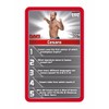 WWE Top Trumps Quiz Game, for 8 years to 99