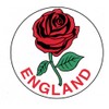 English Rose Car Bumper Sticker