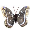 MIK funshopping Colourful Butterfly Clip (Set of 6 Mixed Colours
