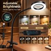 10X Magnifying Glass for Close-Up Work – 3 Color LED