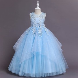 Little Big Girl Vintage Embroidery Beads Dress Flower Girls Rhinestone Tulle Maxi Gown Birthday Communion Long Dresses Pageant Formal Wedding Party Floor Length Evening Gown Light Blue 13-14 Years