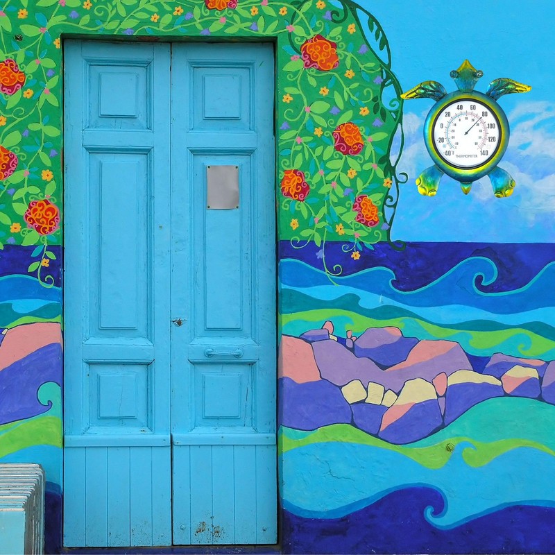 SOTALING Turtle Outdoor Thermometer - Wall Mount Thermometer - Green