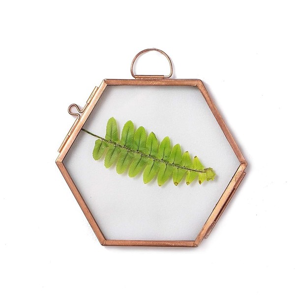 NCYP Hanging Small Rose Gold Hexagon Herbarium, Side Length 1.9