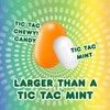 TIC TAC CHEWY! Sour Adventure Candy, Bulk 12 Pack, Sour