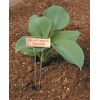 Luster Leaf 781 Classic Impressions 10-Inch Copper Garden Plant Label,