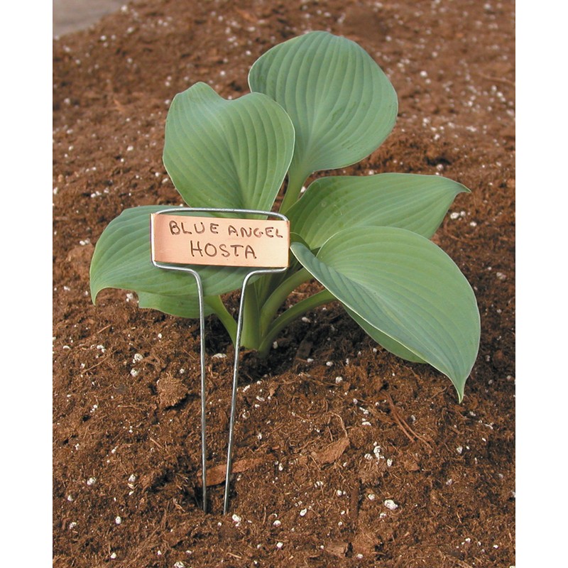 Luster Leaf 781 Classic Impressions 10-Inch Copper Garden Plant Label,