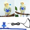 Adjustable Harness for Parrots Bird Harness Lead for Outdoor Flies