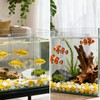 Fish Tank Divider, Transparent Acrylic Separator Plate with Suction Cups