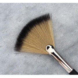 XOBEAUTY SHIMMER FAN BRUSH, xoBeauty