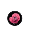 The Body Shop British Rose Body Scrub 50ml (Travel Size)