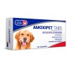 Amoxipet 30 Tabs Pets Pharma