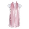 Hat To Socks Plain Elegant Chiffon Satin Scarf (Pink)