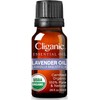 Cliganic USDA Organic Lavender Essential Oil - 100% Pure Natural