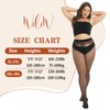 WiliW 2 Pairs Plus Size Sheer Pantyhose for Women, 20D