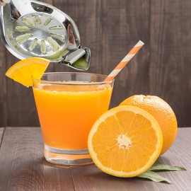 Pssopp Manual Lemon Squeezer Lemon Chopper Small Citrus Juicer Made of Stainless Steel Hand Press Lime Press for Orange, Lemon, Pomegranate Kitchen and Bar (Round)